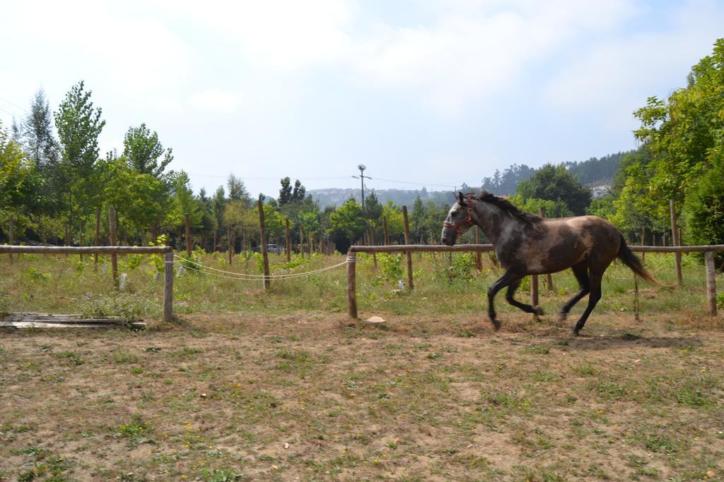 Willa Quinta Do Mosteiro Felgueiras Zewnętrze zdjęcie